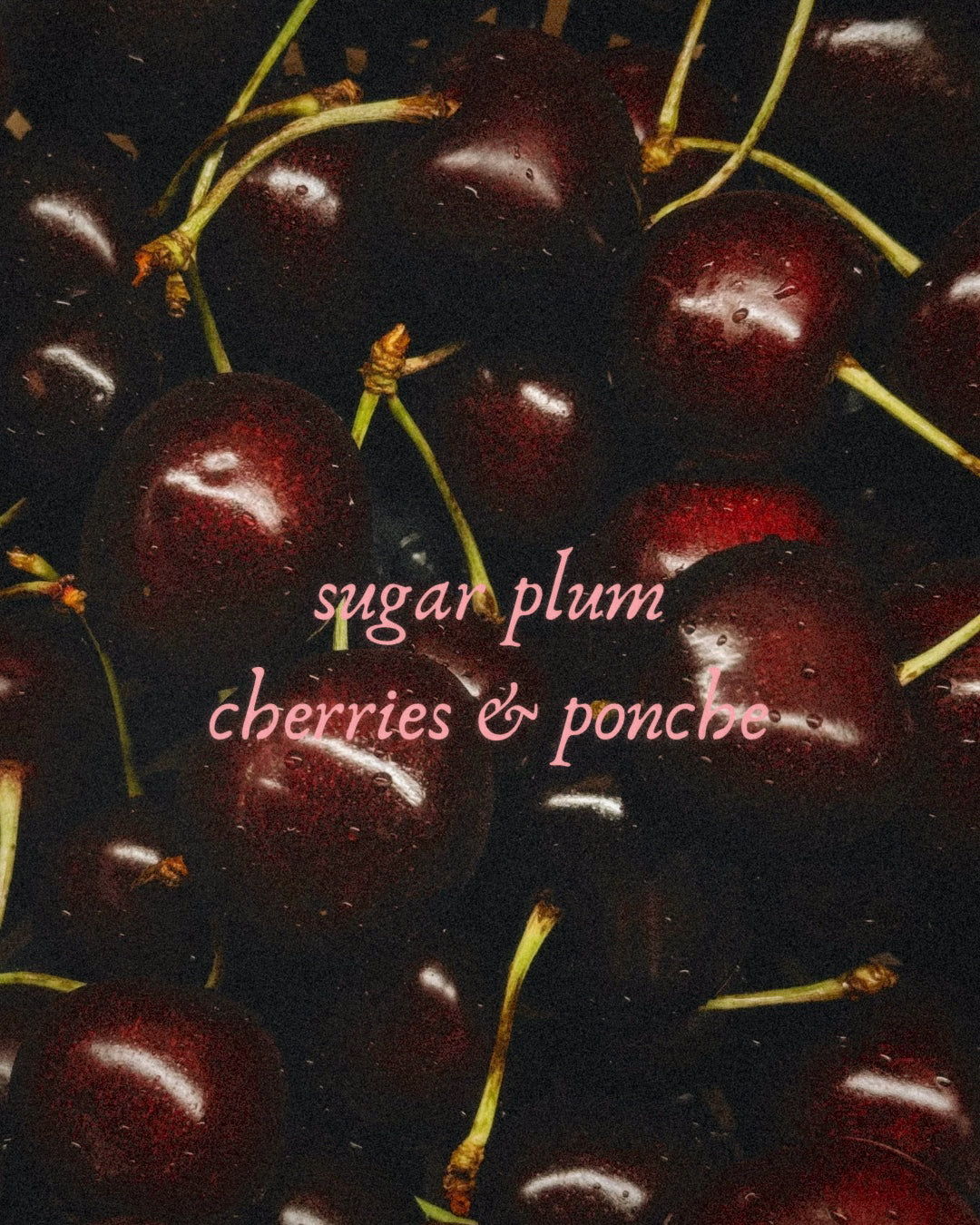 Nieves De Enero Beeswax Coco Creme Candle {Sugar Plum Cherries & Ponche}