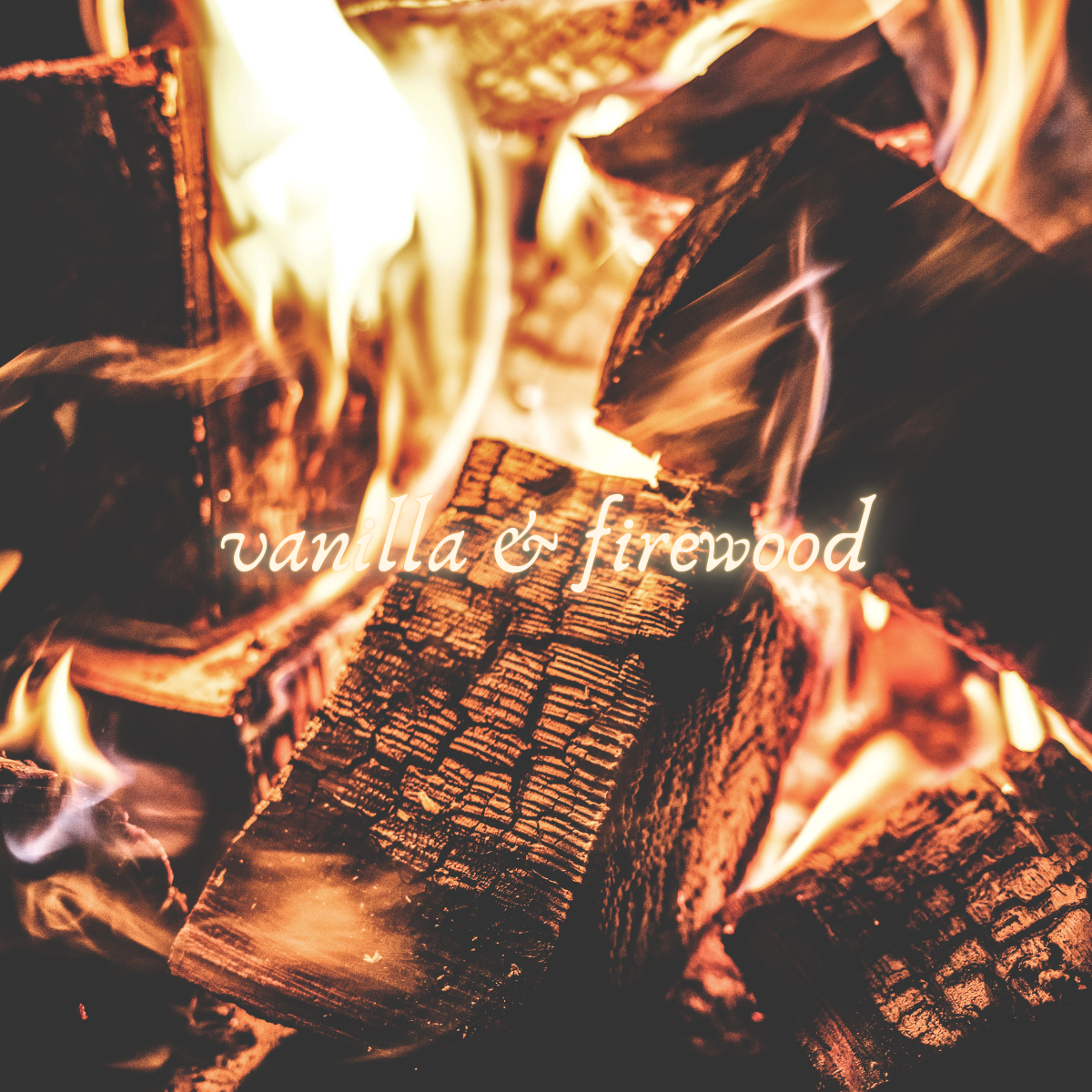 Montecito ~ 6 oz. / 14 oz. Beeswax Coco Creme Candle in Wide Matte Black Tin