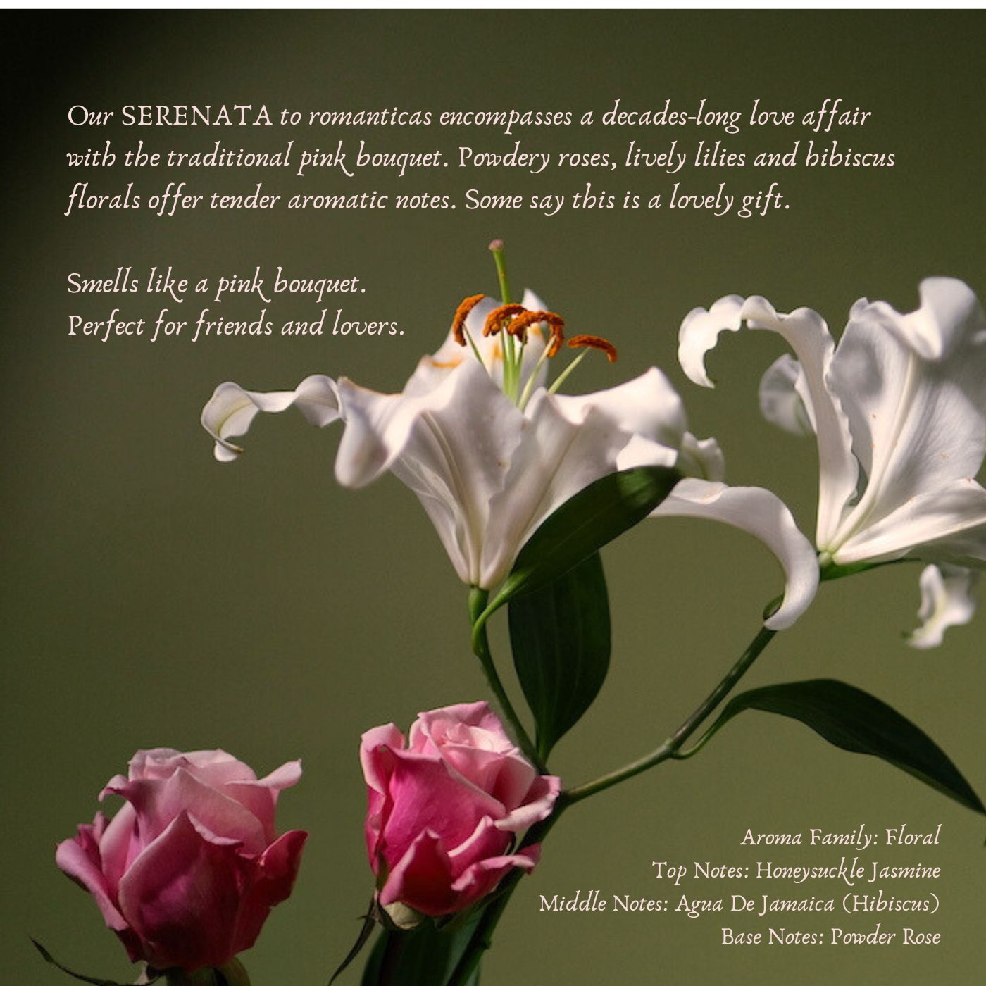 SERENATA {Agua de Jamaica & Rosas} Beeswax Coco Creme Candle