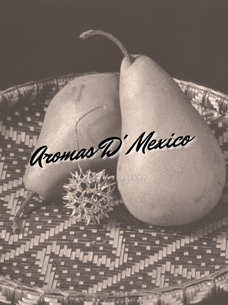 Colección Semanas Santas | Fall Collection