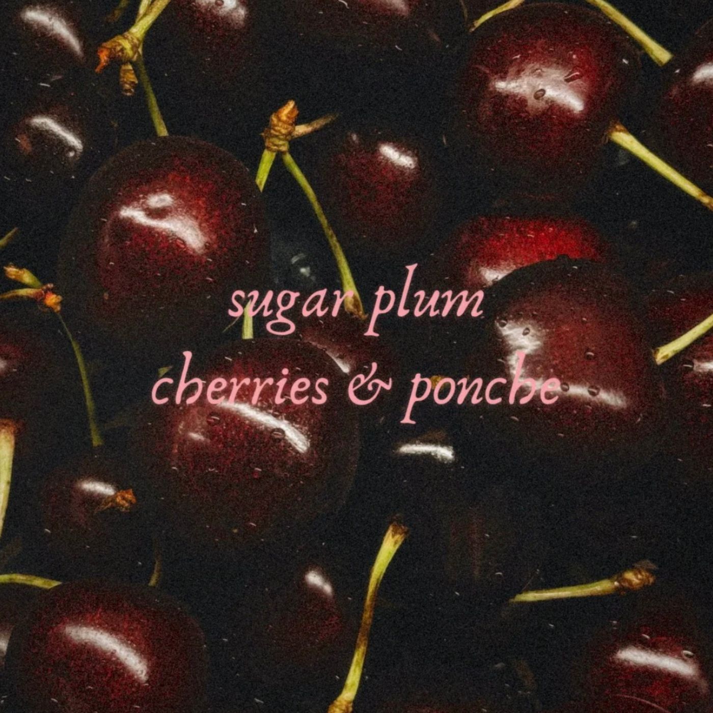 Nieves De Enero Beeswax Coco Creme Candle {Sugar Plum Cherries & Ponche}