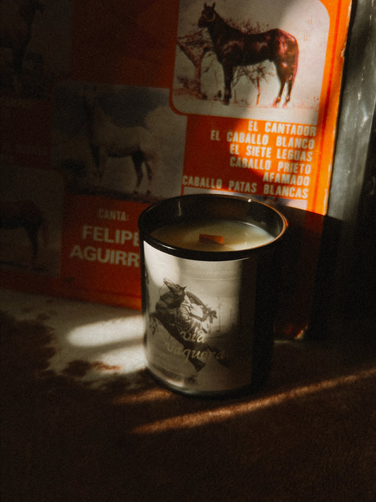 Vía Vaquera {Sunflowers & Sandalwood} Beeswax Coco Creme Candle