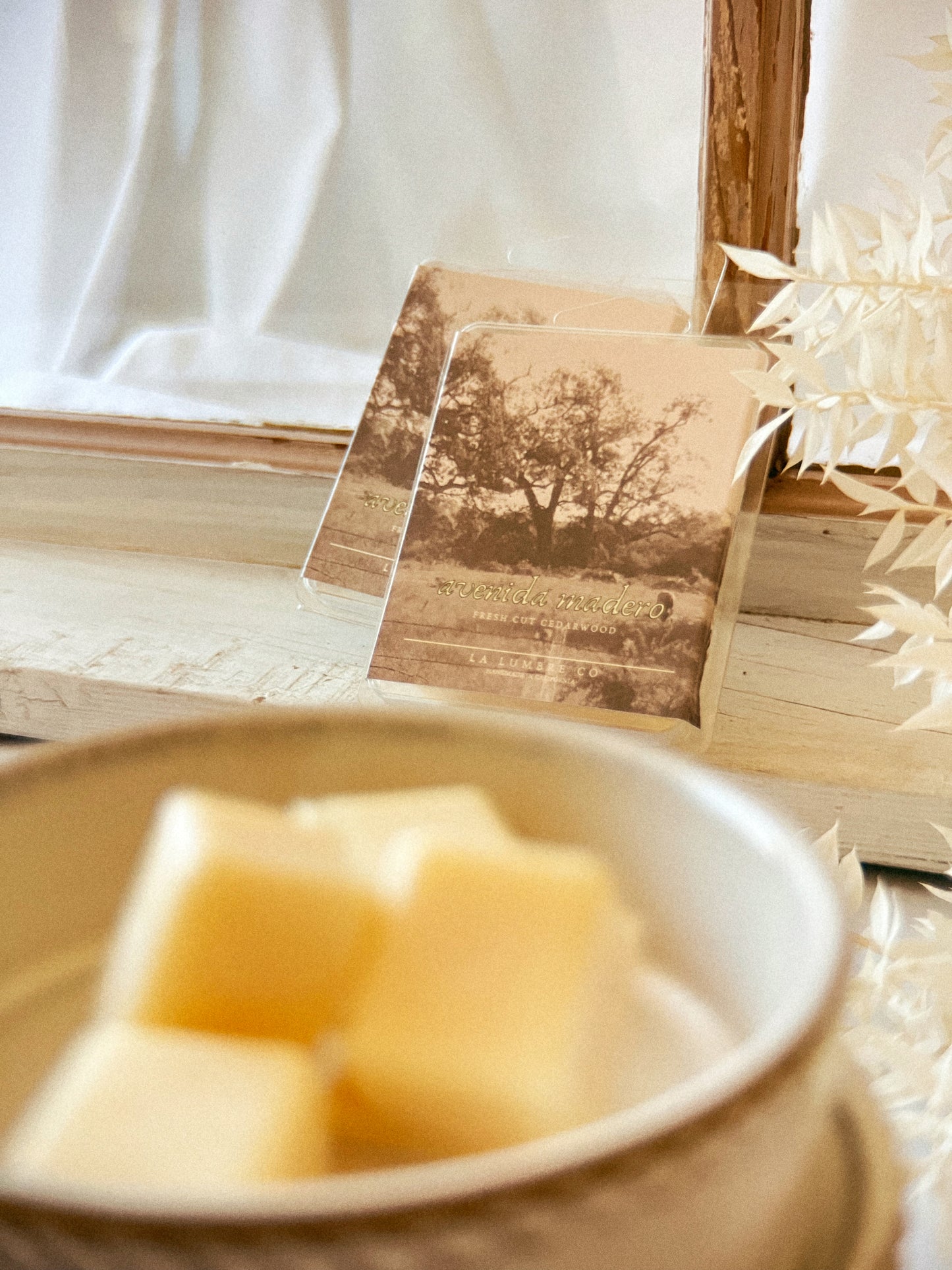 Avenida Madero Wax Melts {Cedarwood & Oak Bark}