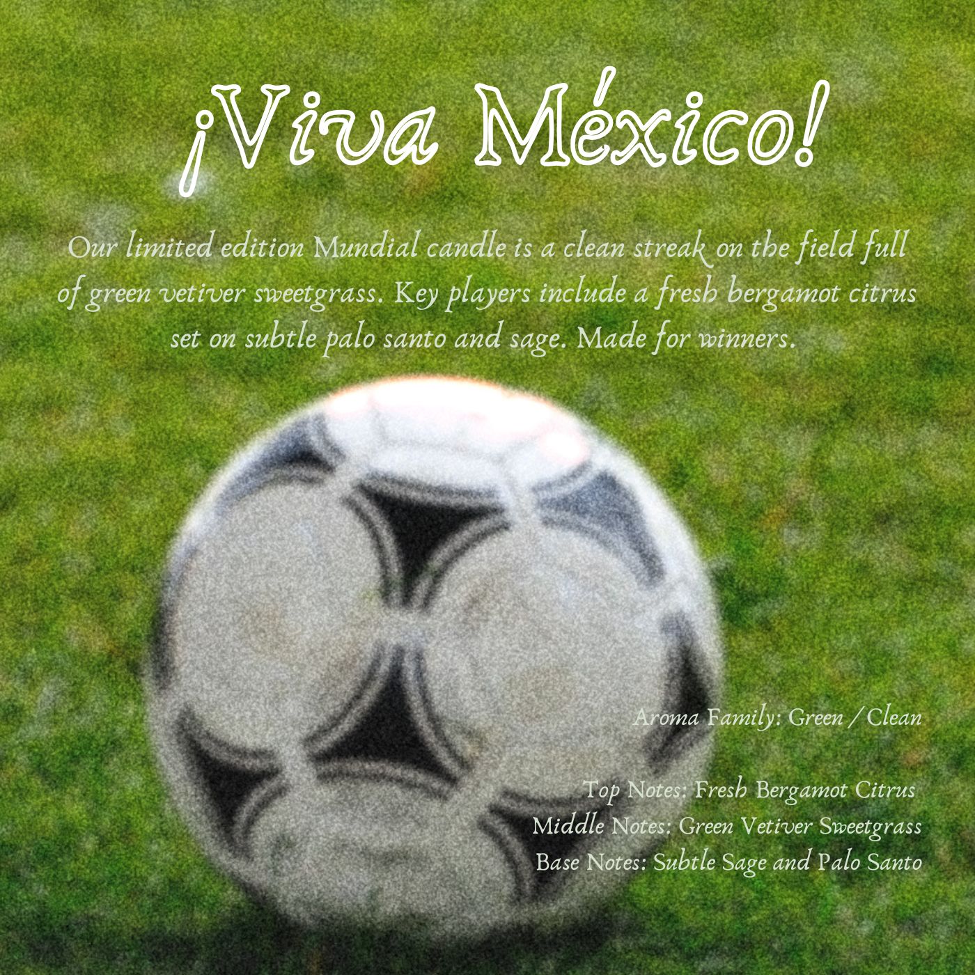¡Golazo! Mundial Edition | Beeswax Coco Creme Candle {Green Vetiver Bergamot}