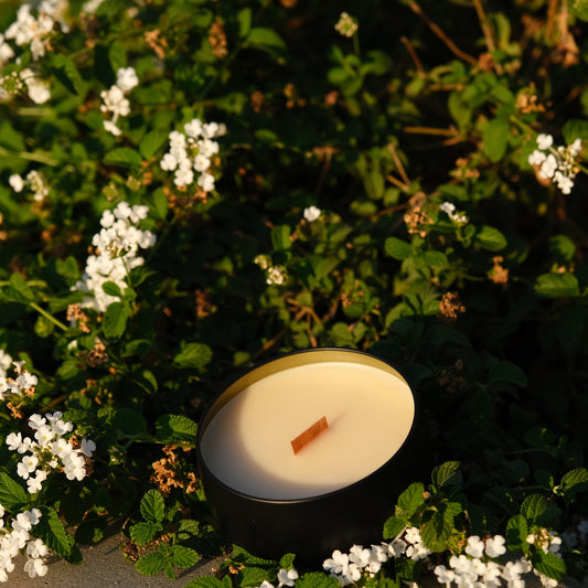 Santuario {Tobacco & Bay Leaves} Beeswax Coco Creme Candle