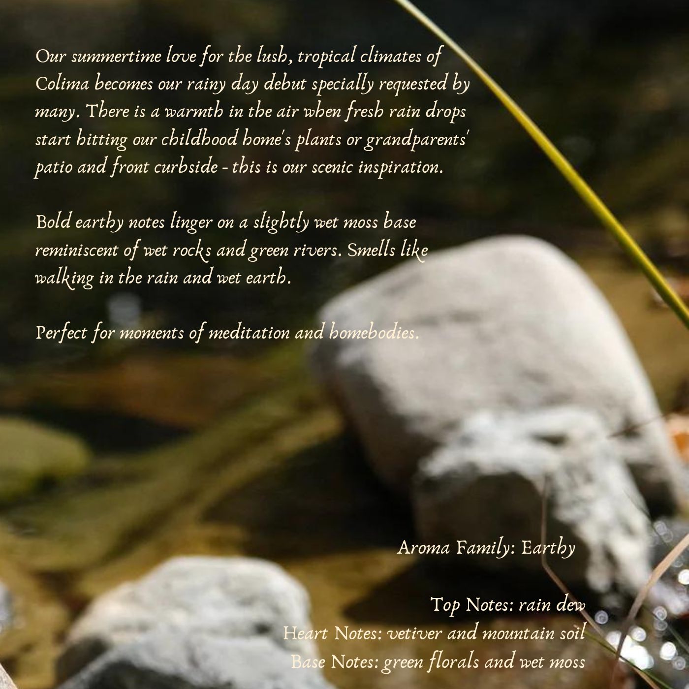 Loma Verde {Green Florals & Wet Moss} Beeswax Coco Creme Candle