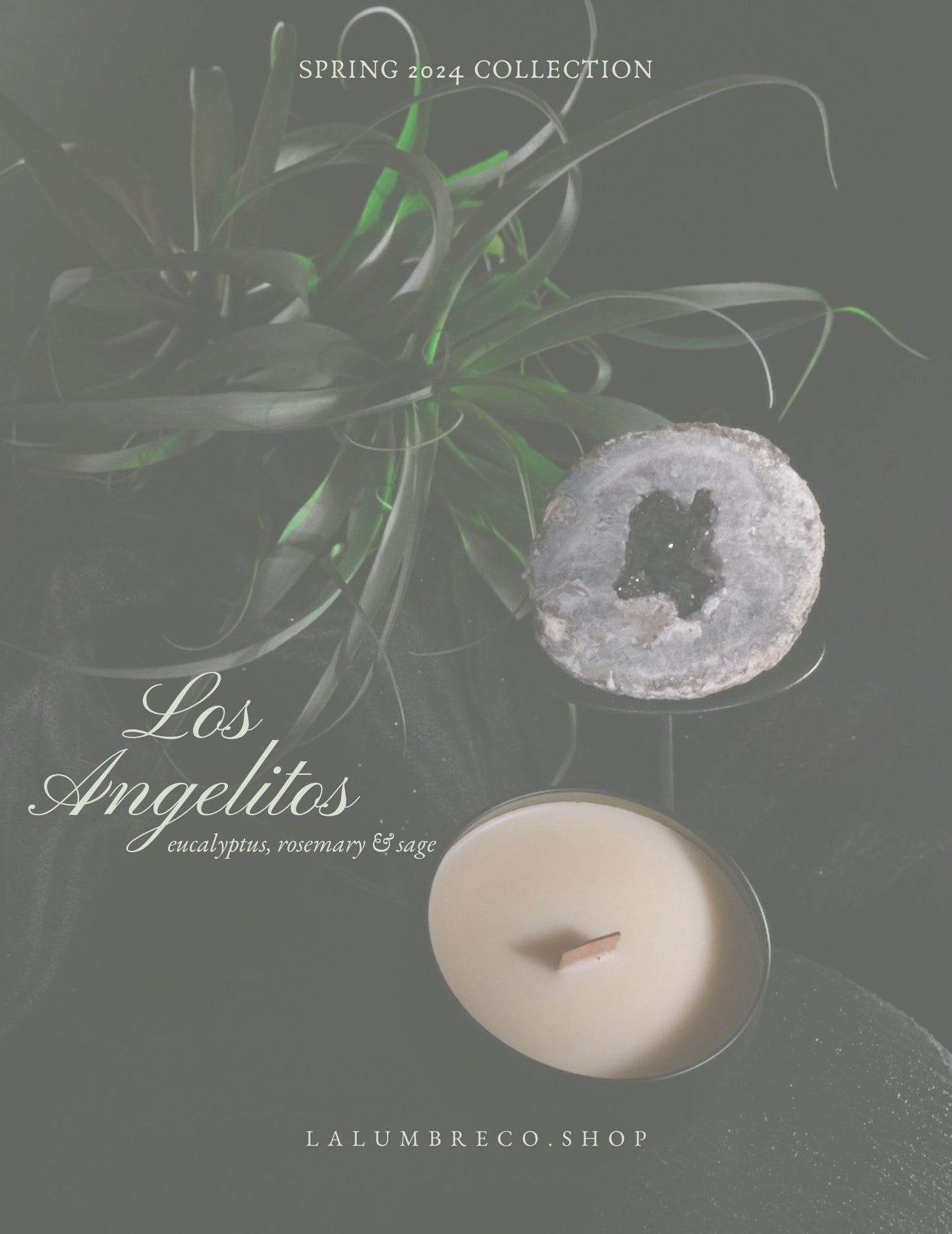 Los Angelitos ~ 6 oz. / 14 oz. Beeswax Coco Creme Candle in Wide Matte Black Tin