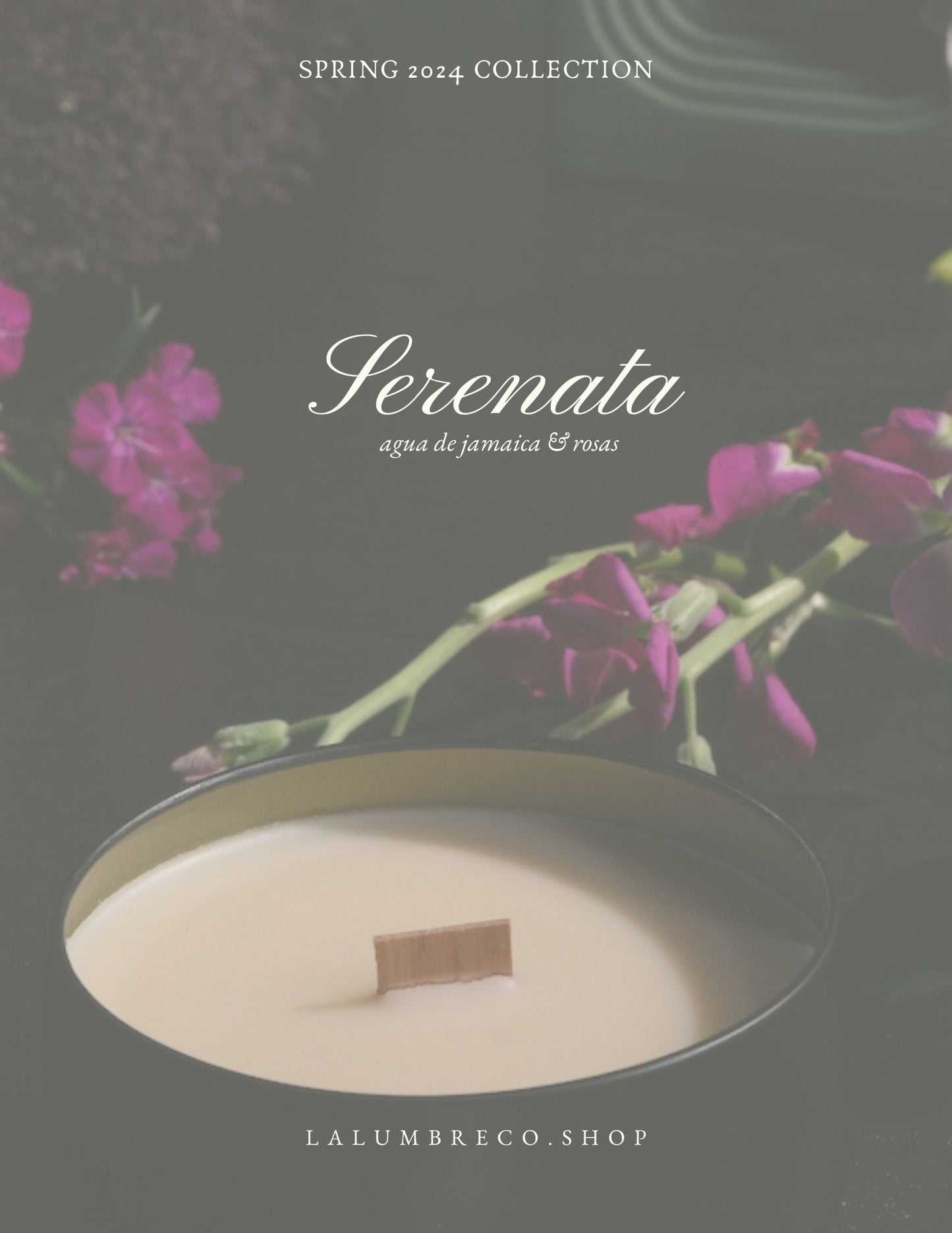 Serenata ~ 6 oz. / 14 oz. Beeswax Coco Creme Candle in Wide Matte Black Tin